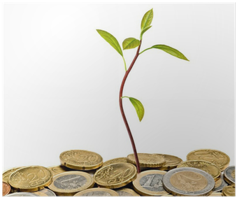 Avocado Seedling Growing From Pile Of Coins Poster - Shoot (400x400), Png Download