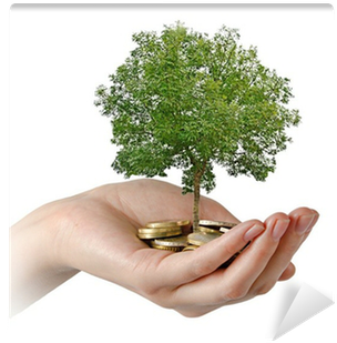 Palms With A Tree Growng From Pile Of Coins Wall Mural - Wage (400x400), Png Download