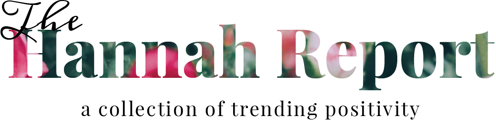 The Hannah Report - Horse (1000x244), Png Download