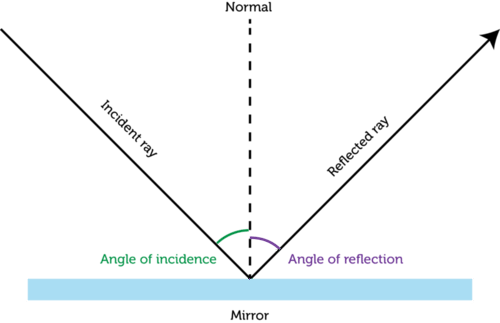 [figure 3] - Do The Laws Of Reflection Explain Ts (500x323), Png Download
