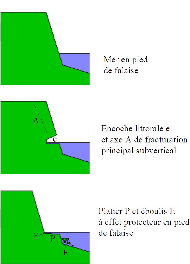 Wave Cut Platform-fr - Wave Cut Platform Diagram (720x960), Png Download