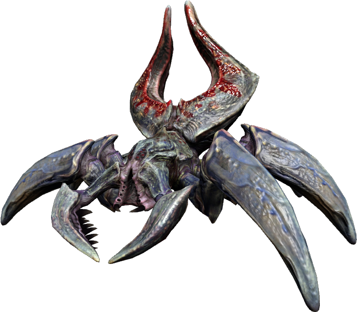 Juvenile Spider - Wiki (758x652), Png Download