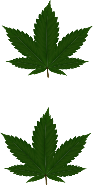 Cannabis Leaves For Pasties Clip Art - Happy Canada Day 2018 (300x597), Png Download