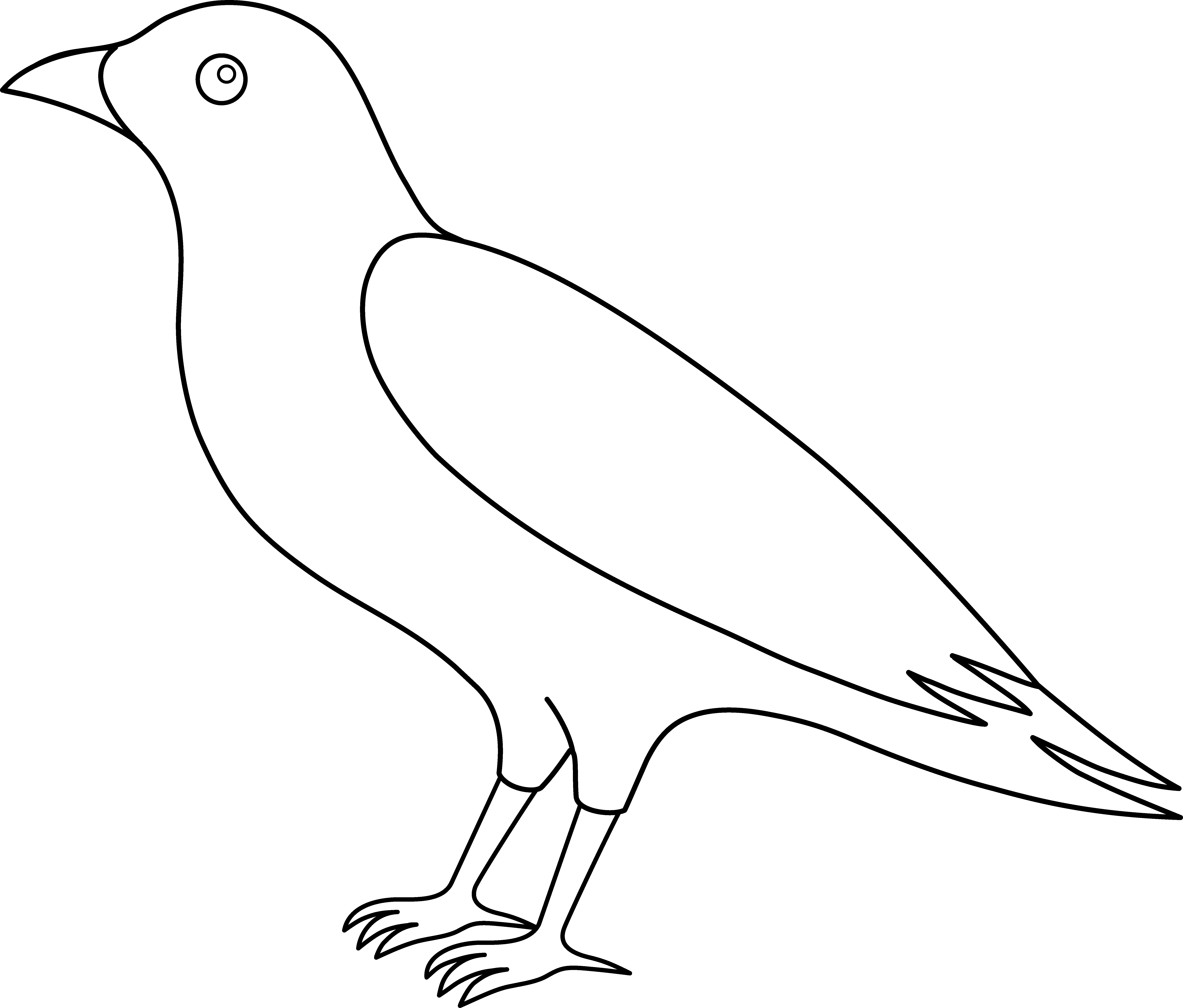 Crow Clipart Flying - Outline Picture Of Crow (6783x5781), Png Download