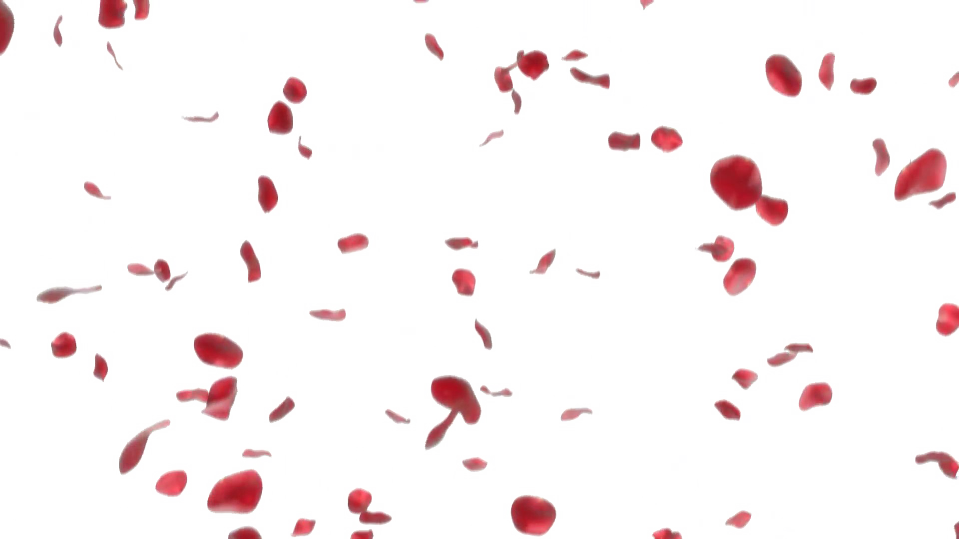 Rose Petals Transparent Image Falling Rose Petals Png Free