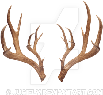 Antlers - Antlers Png Transparent (400x452), Png Download