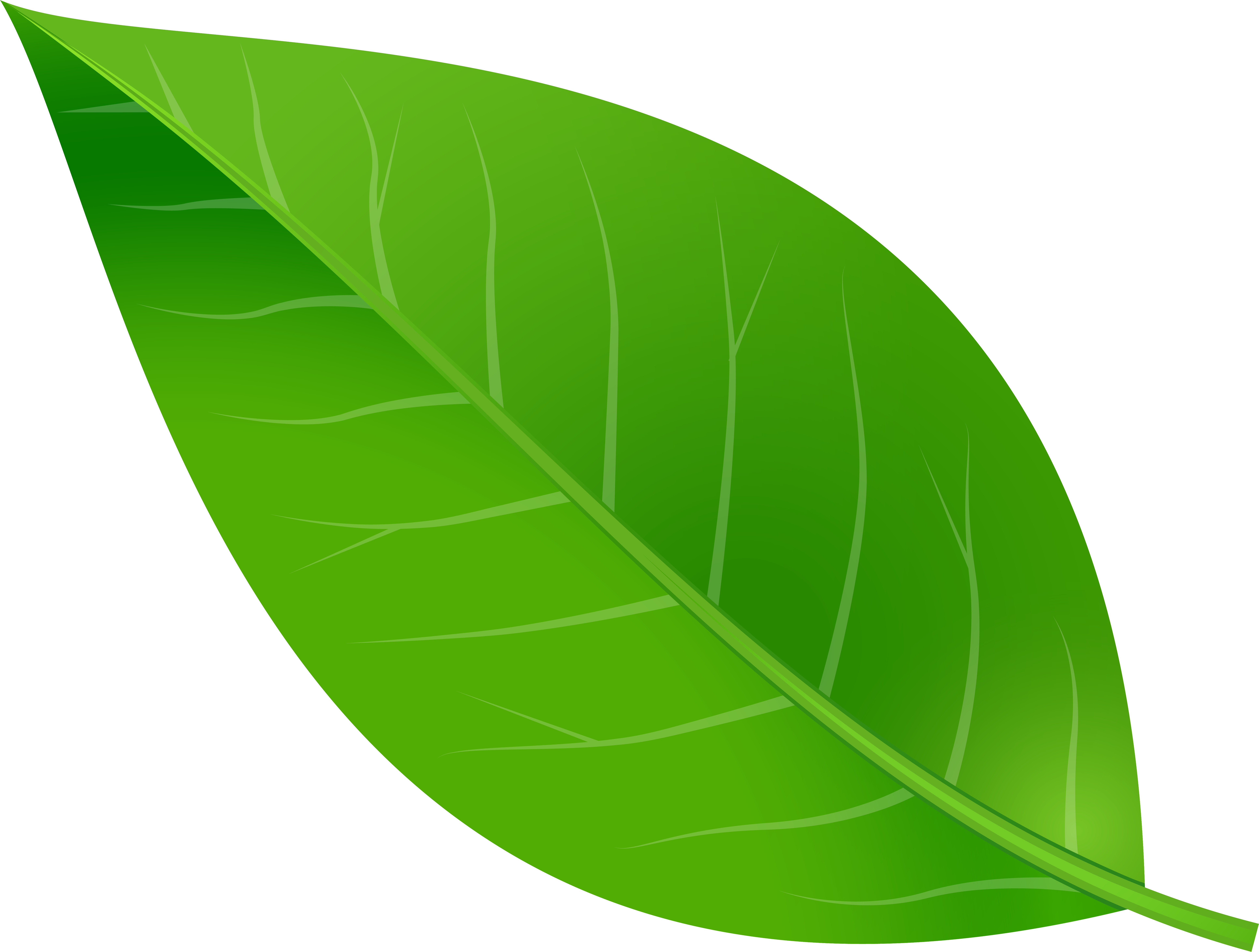 Download Spring Leaf Transparent Png Clip Art Image - Leaf Clipart Png