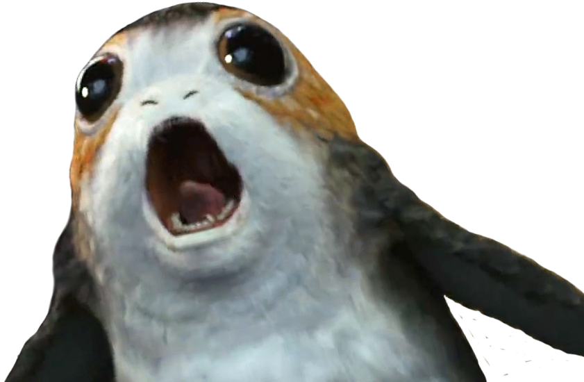 [ Img] - Steller Sea Lion (841x550), Png Download