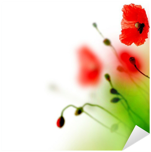 Poppy (400x400), Png Download
