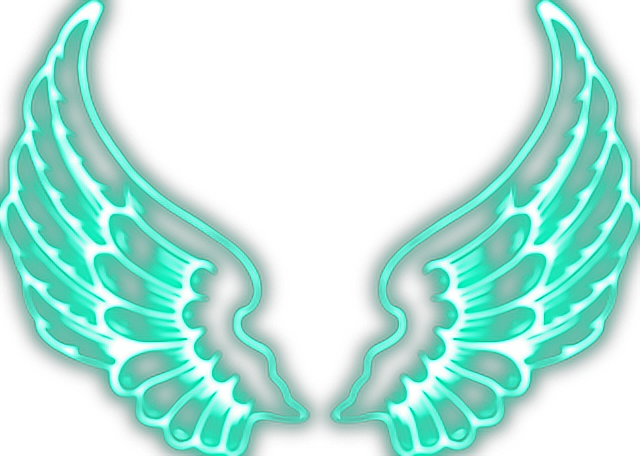 Report Abuse - Neon Wings Picsart (640x456), Png Download