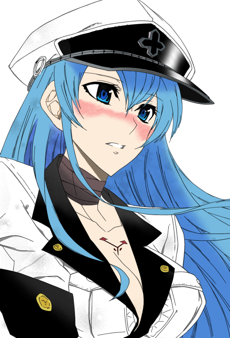 The Official Anime/manga Discussion Thread Part 16 - Akame Ga Kill นางเอก (738x1083), Png Download