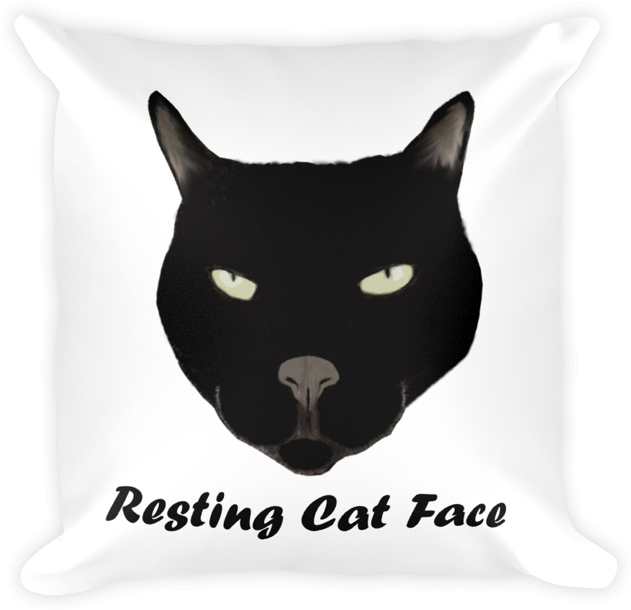Resting Cat Face Pillow - Bar Moe (1000x1000), Png Download