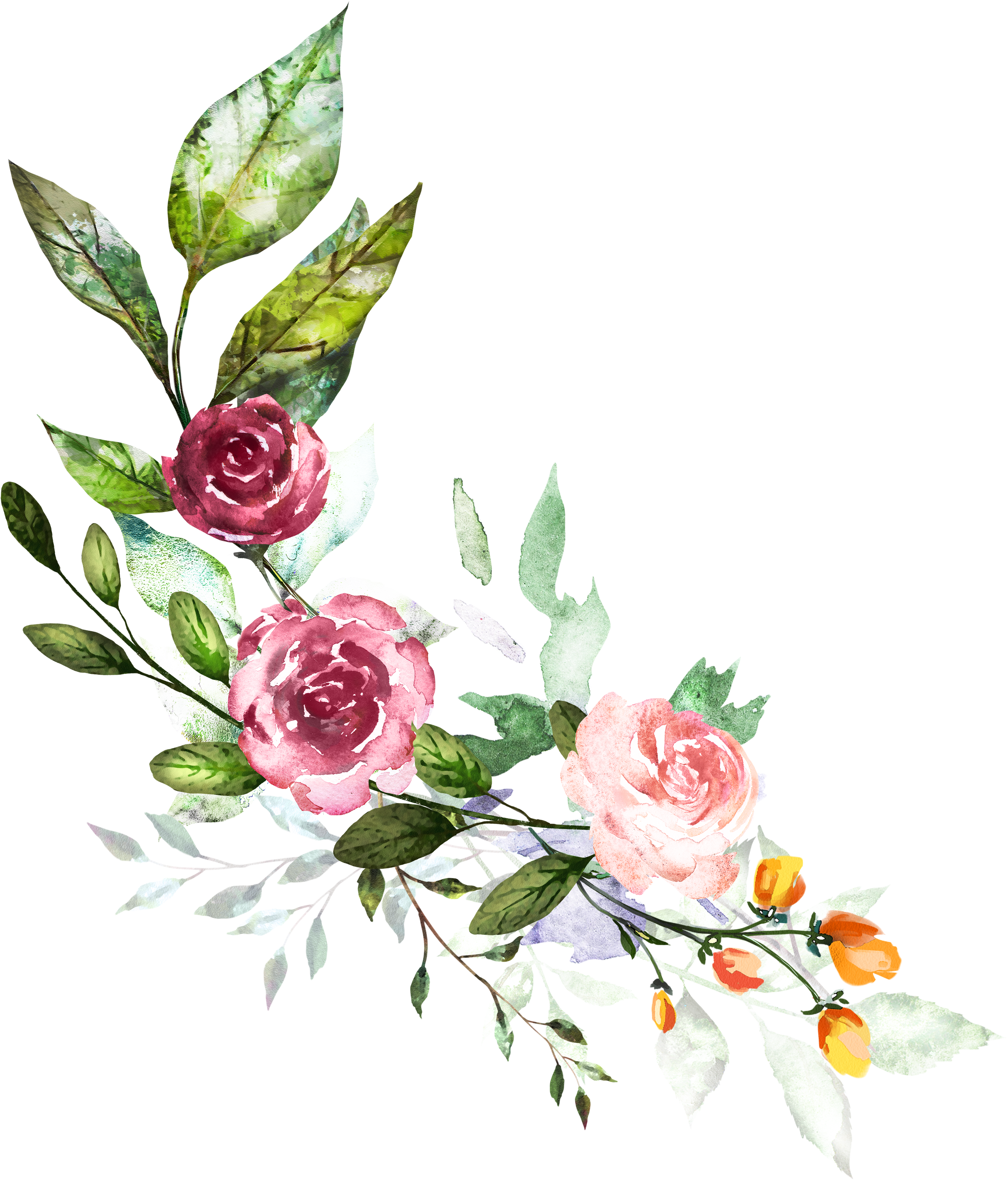 Antlers Watercolor Png Free - Hand Painted Flower Rose (2868x3430), Png Download