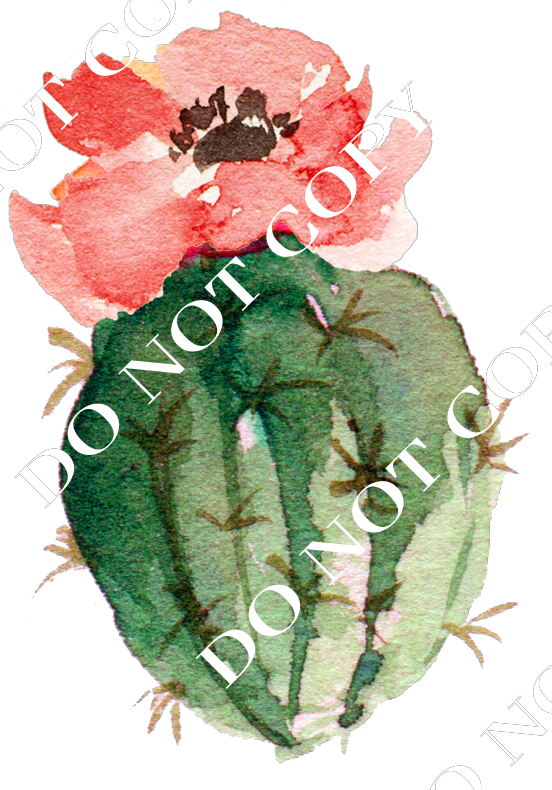 Cactus - Watercolor Cactus Png (552x790), Png Download