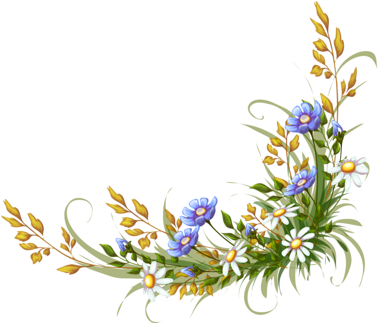 Фото, Автор Soloveika На Яндекс - Flower Backgrount Transparent (800x668), Png Download