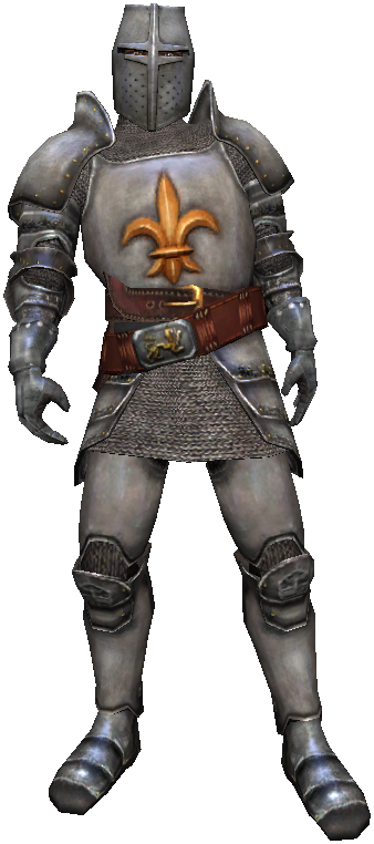 W1 Ss Erkyn Von Blunt - Wiedzmin Rycerz (338x762), Png Download