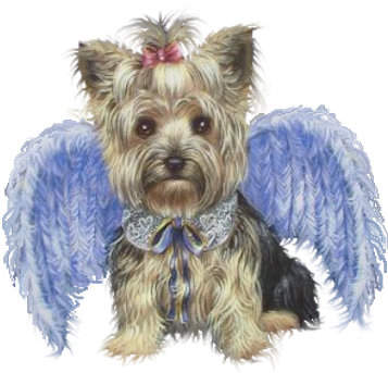 Share This Image - Precious Pet Paintings 3.33-in X 2.33-in Yorkshire (357x407), Png Download