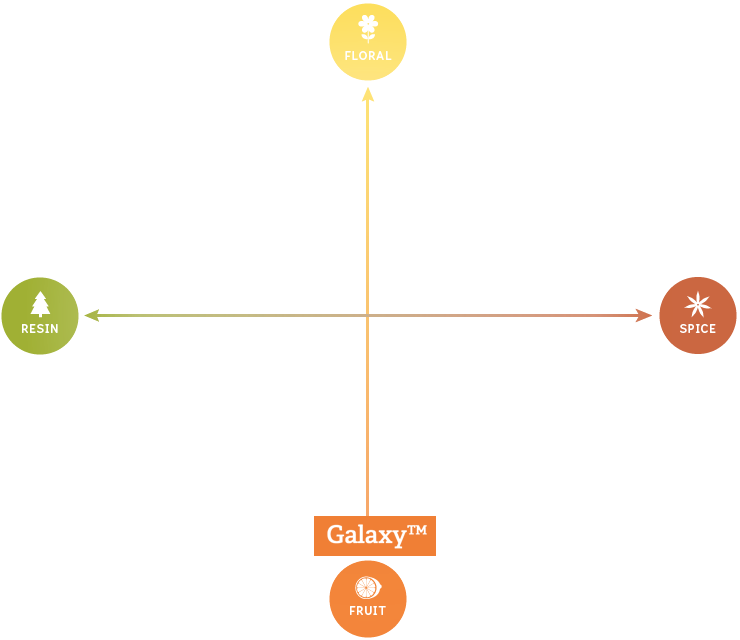 Galaxy Australia Pellets - Diagram (740x640), Png Download