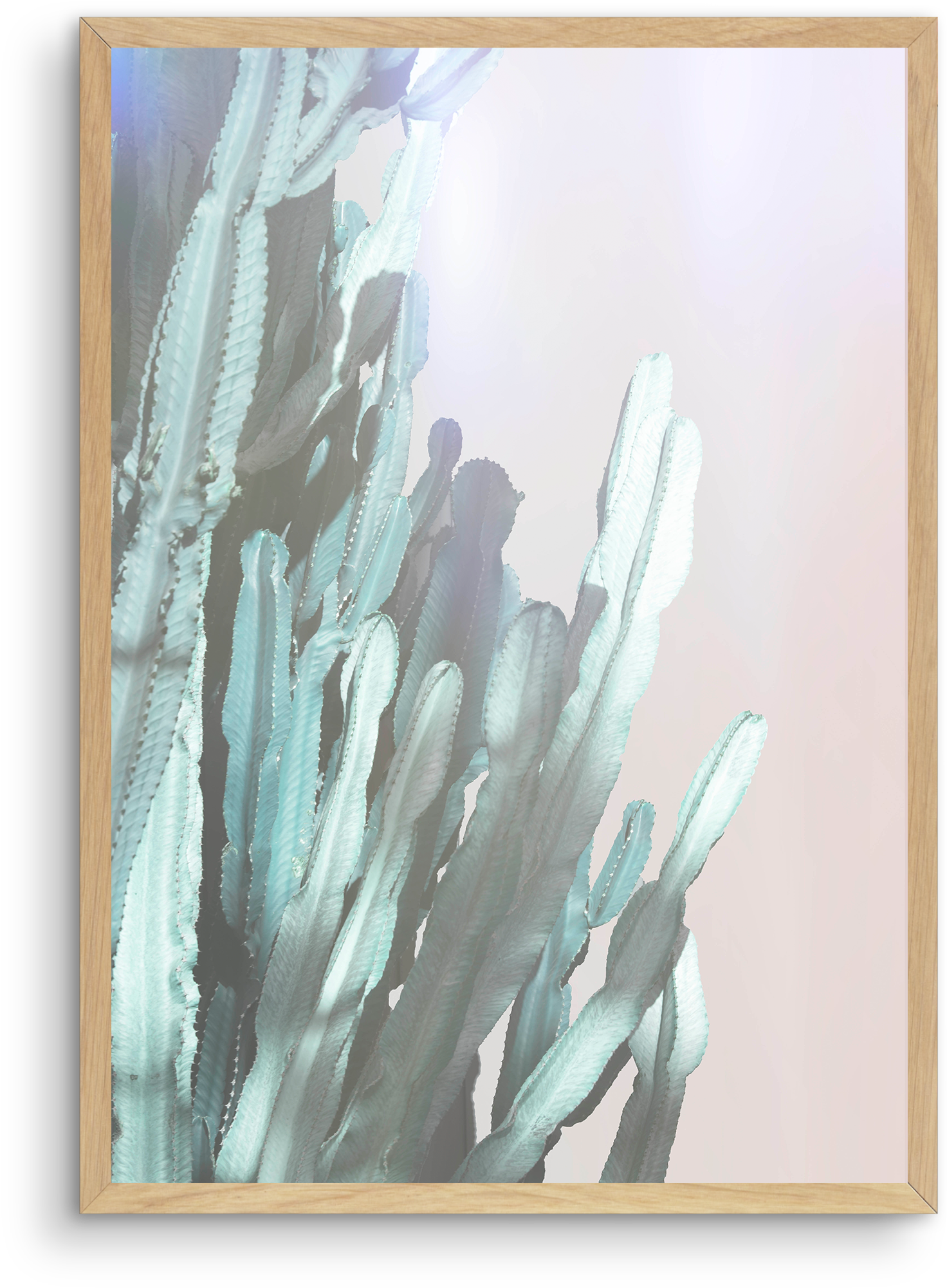 Dreamy Cactus No 1 Dreamy Cactus No 1 - Cactus (1874x2336), Png Download
