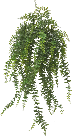 Share This Image - Portable Network Graphics (800x600), Png Download