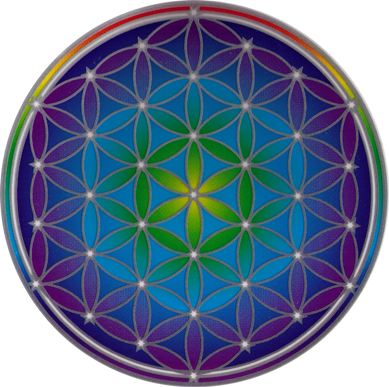 Flower Of Life - Flower Of Life Window Sticker Decal 5 Circular (800x796), Png Download