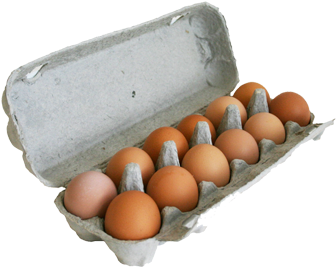 A Dozen Free Range Eggs - Box (448x313), Png Download