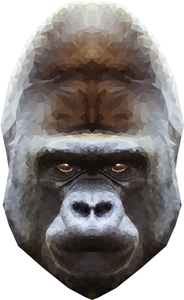 Emmasimoncic - Tumblr - Com - Low Poly Gorilla Illustration - Primate (1185x1064), Png Download