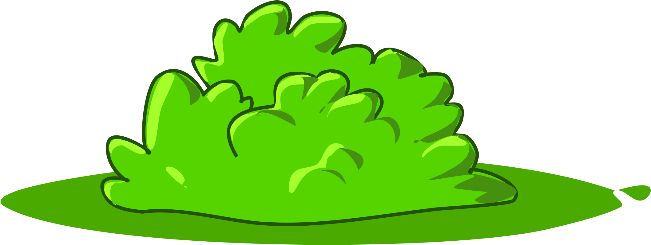 Medium Image - Bush Clipart (800x331), Png Download