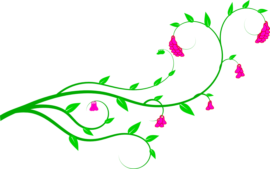Graphic Transparent Library Flower Vine Download Clip - Vines And Flowers Clip Art (1100x688), Png Download