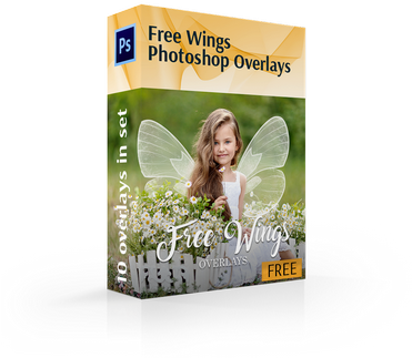 Fairy Wings Overlay Free Cover Box - Adobe Photoshop (370x344), Png Download