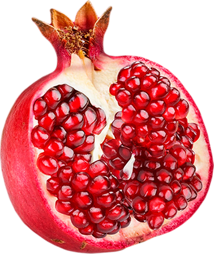 Pomegranate Png (420x500), Png Download