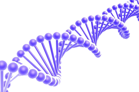 Dna (466x311), Png Download