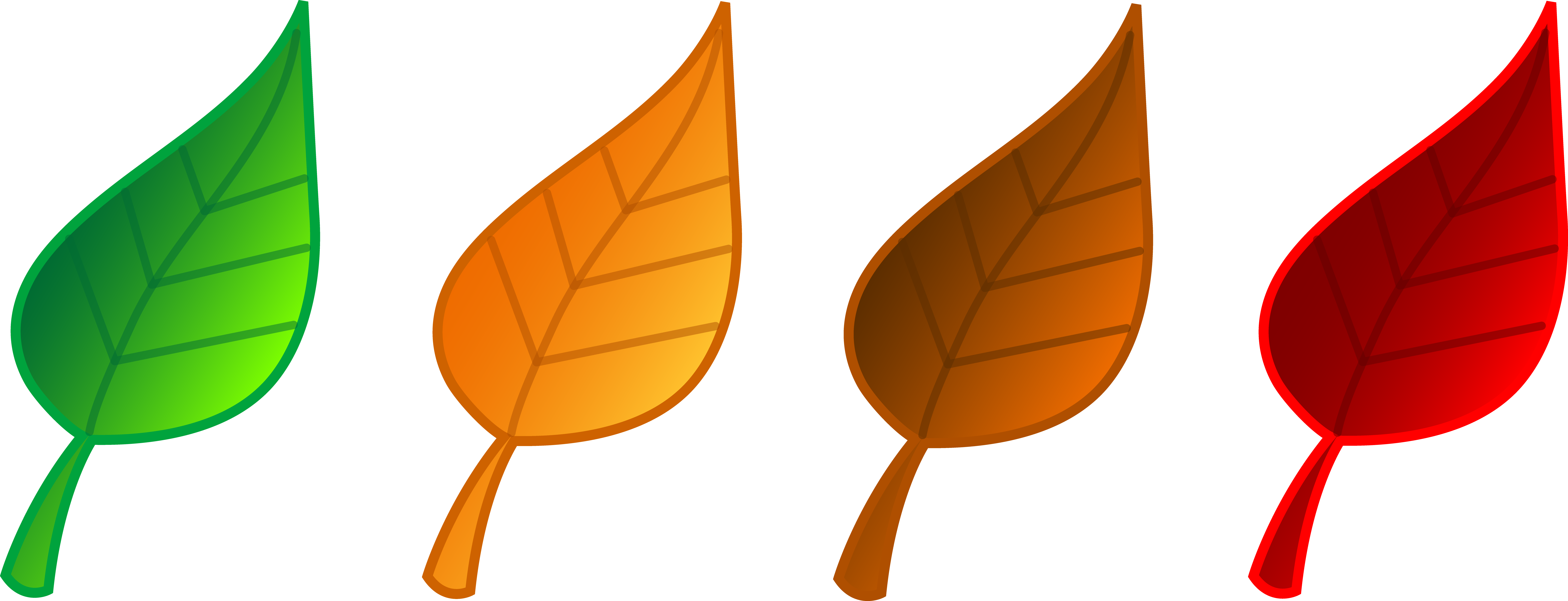 Clip Art Fall Leaves - Set Of Leaves Clipart (7840x3006), Png Download