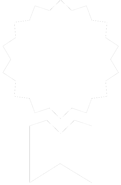 Award - Silent Front Sprocket (563x606), Png Download