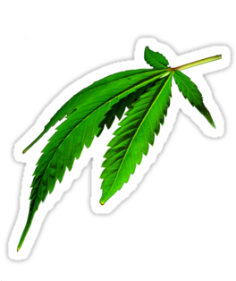 Red Weed Leaf Png - Marihuana Tapety Na Pulpit (375x360), Png Download