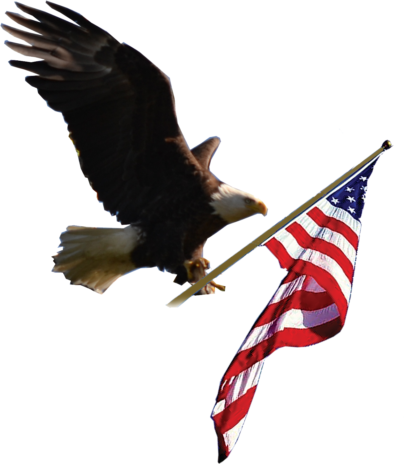 Logo - Eagle And Flag Png (1500x1500), Png Download