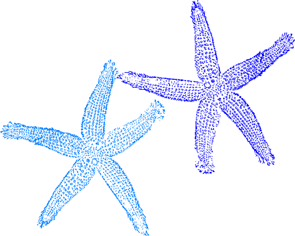 Blue Starfish Png - Blue Starfish Clip Art (600x479), Png Download