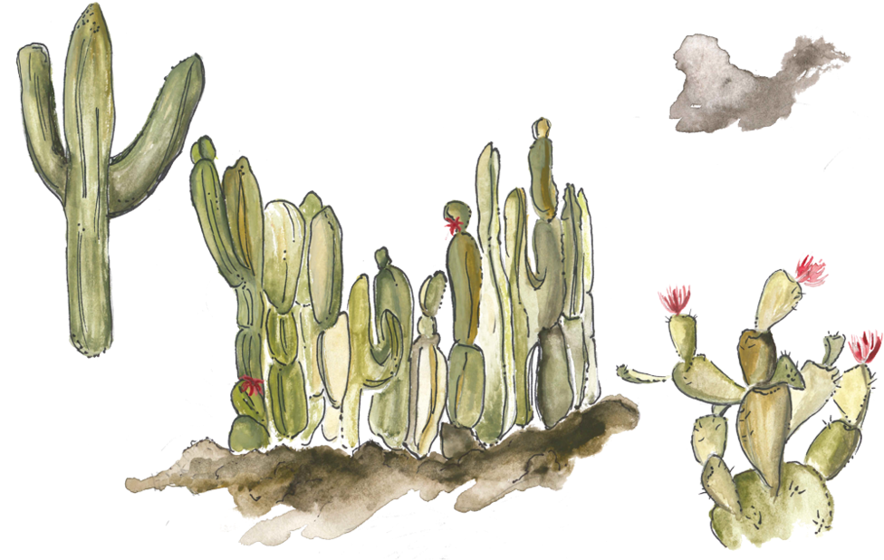 Prev / Next (1000x1000), Png Download