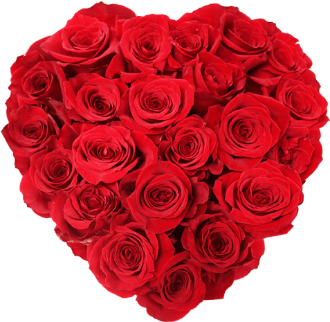 Rosas Frescas En Caja Corazón - Heart Of Roses Png (500x500), Png Download