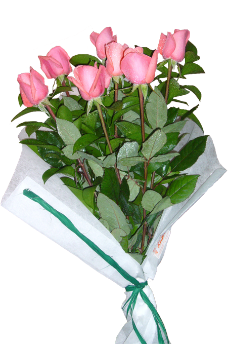 20 Rosas Côr De Rosa - Flower (500x679), Png Download
