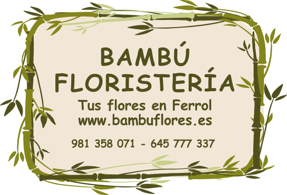 Tu Floristería Online En - Cut Flowers (560x381), Png Download