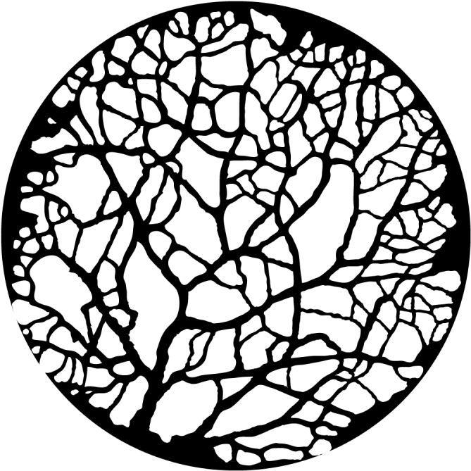 Tree - Budding - Thin (800x800), Png Download