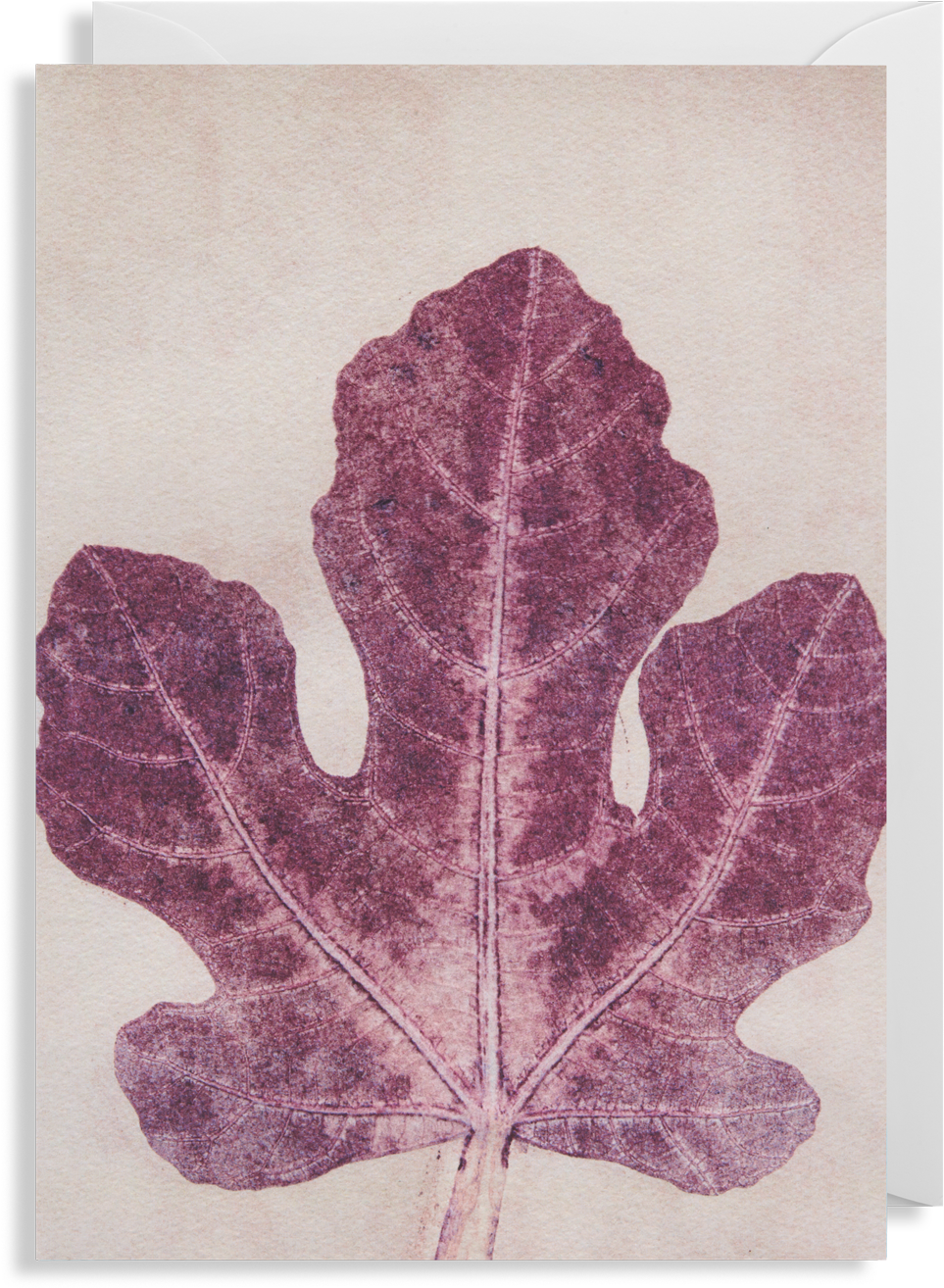 Fig Leaf Greeting Card - Greeting Card (1400x1500), Png Download