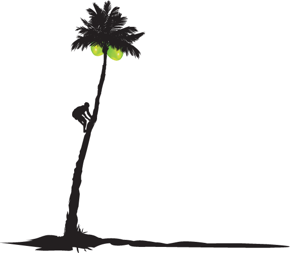2016 Purity Organic, Llc 1625 Bush Street Suite 3, - Purity Organic Coconut Water - 33.8 Fl Oz Carton (575x500), Png Download