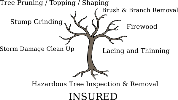 Tree Service - Tree With Roots And No Leaves (600x337), Png Download