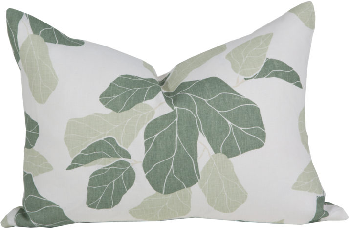Fiddle Leaf Fig (1000x667), Png Download
