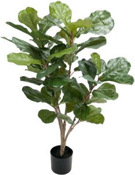 Plant Fiddle-leaf Fig - Konstgjord Fiolfikus (360x360), Png Download