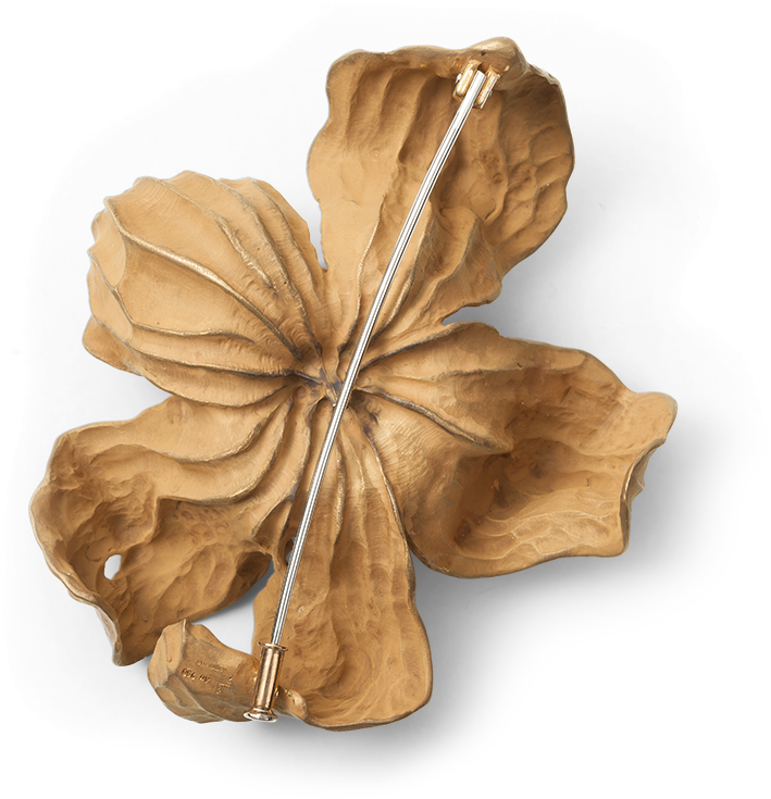 Hemmerle Brooch In The Shape Of A Physalis Back Side - Peruvian Groundcherry (800x800), Png Download