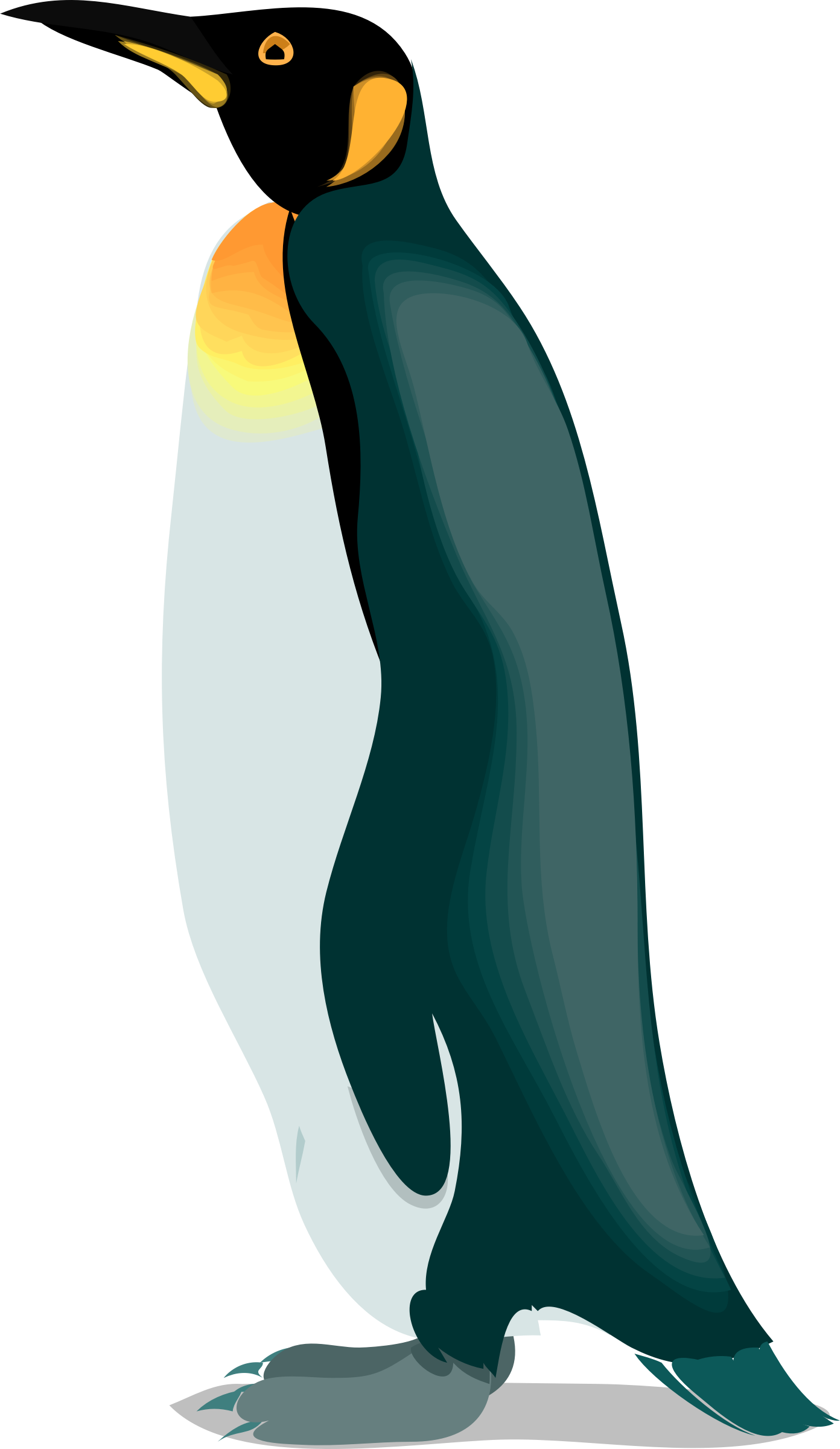 The Emperor Penguins Gentoo Penguin - Penguin Clipart Realistic (435x750), Png Download