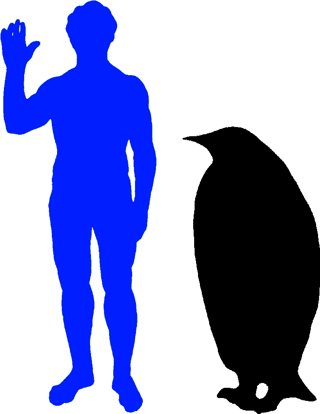 The Emperor Penguin Is The World's Biggest Penguin - Dromaeosaur Size (729x873), Png Download